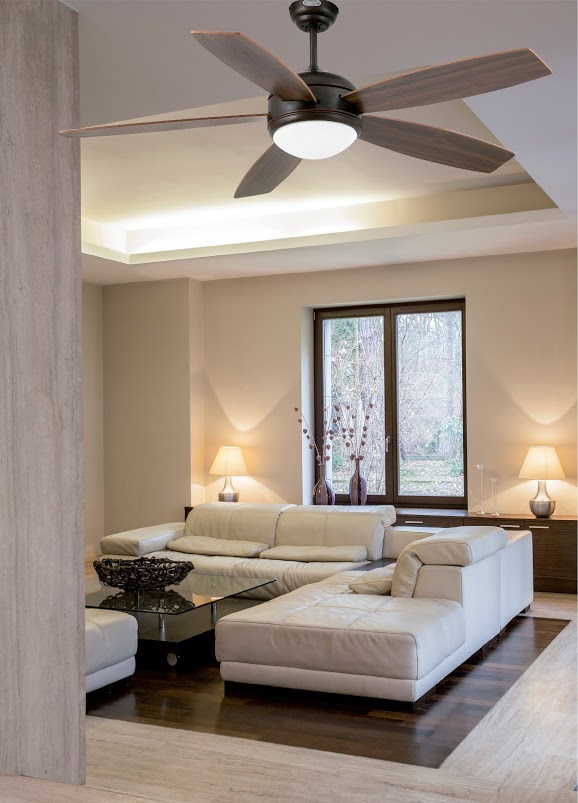 ventilateur plafond
