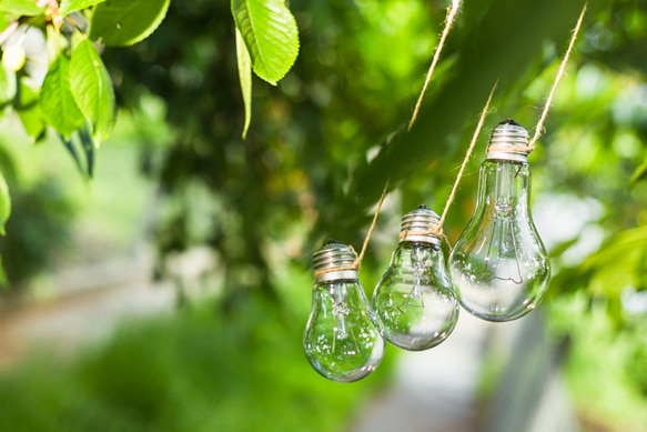 Eco-responsabilité: comment optimiser sa consommation énergétique ?